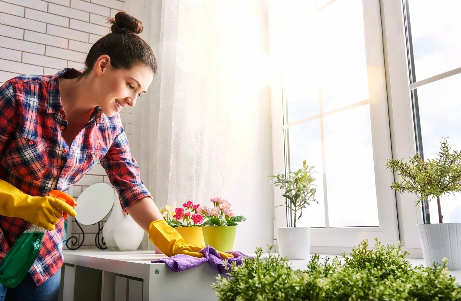 House Cleaning Company