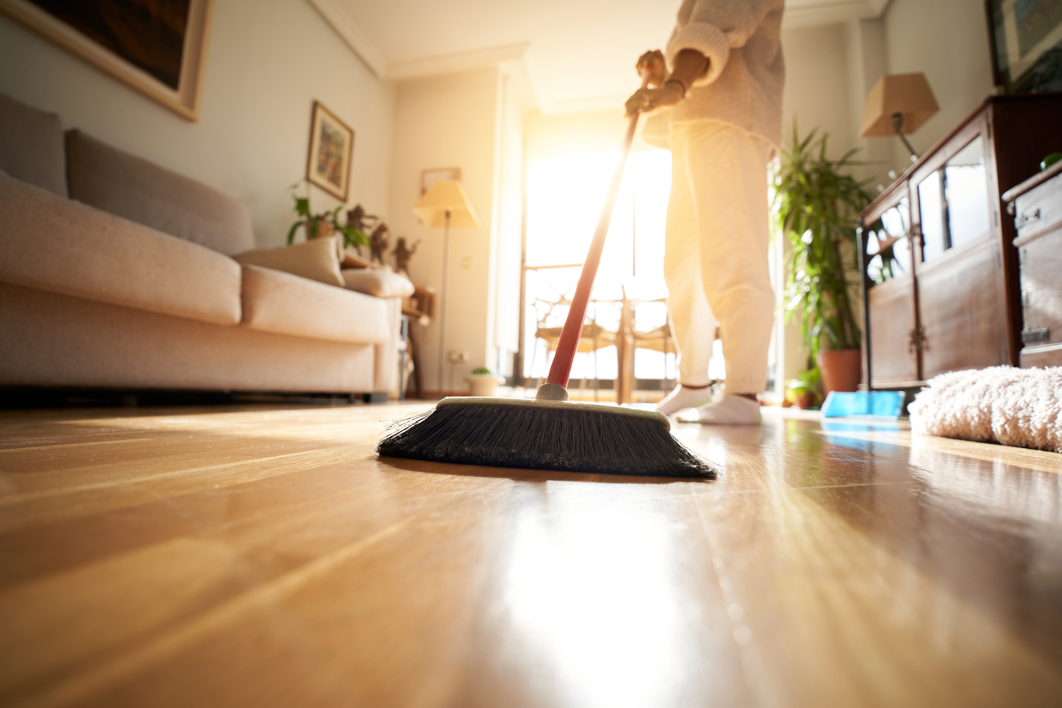 House Cleaning in Nevada