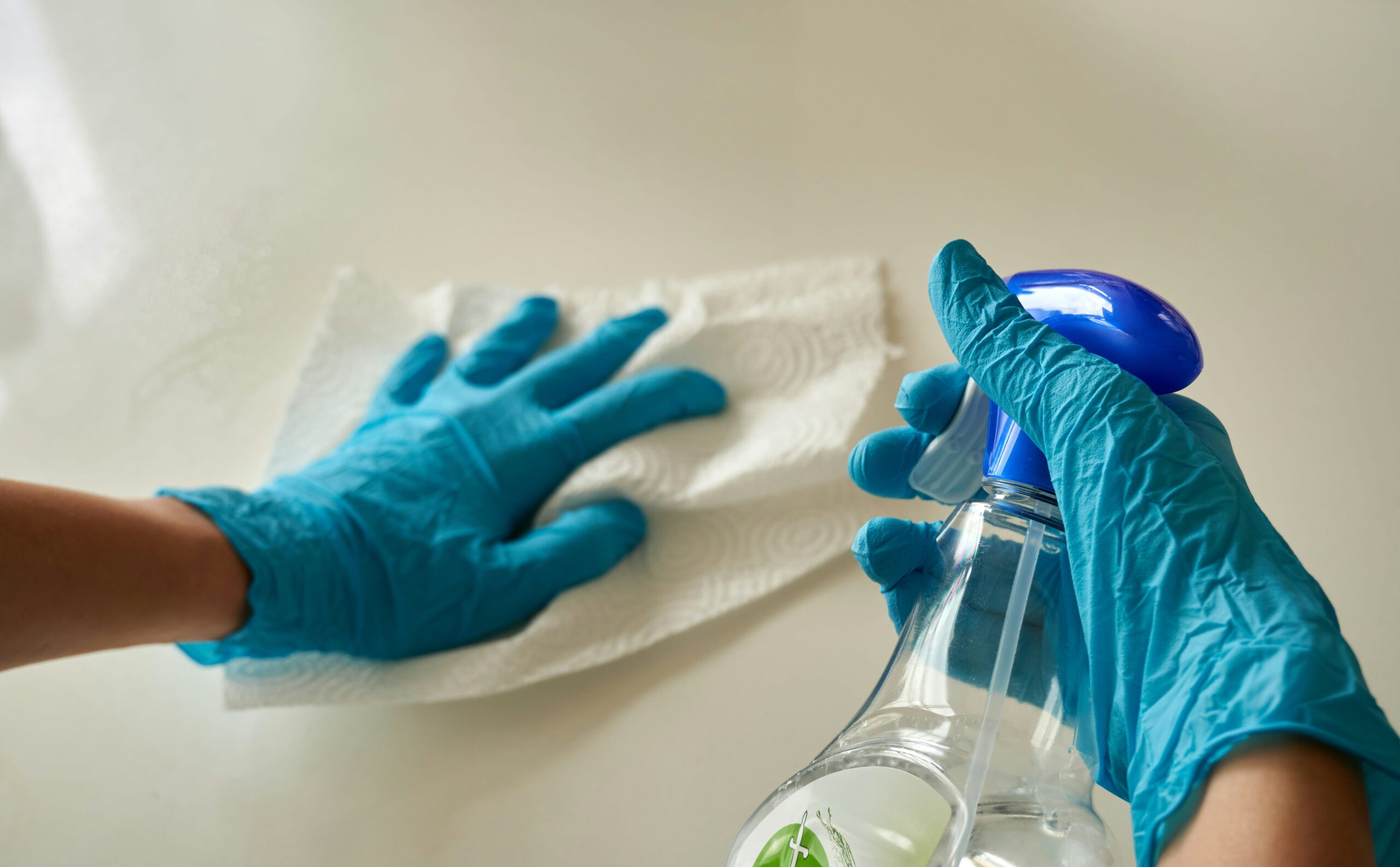 Quick and easy tips for a spotless kitchen in Reno, Nevada